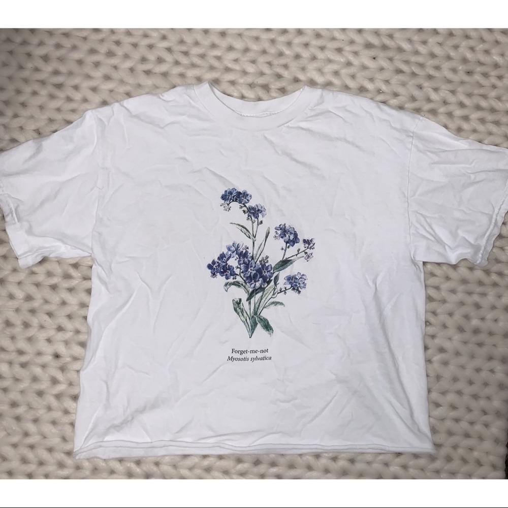 Brandy Melville crop top